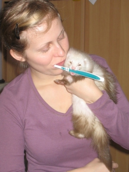 2008-11-27_04.jpg