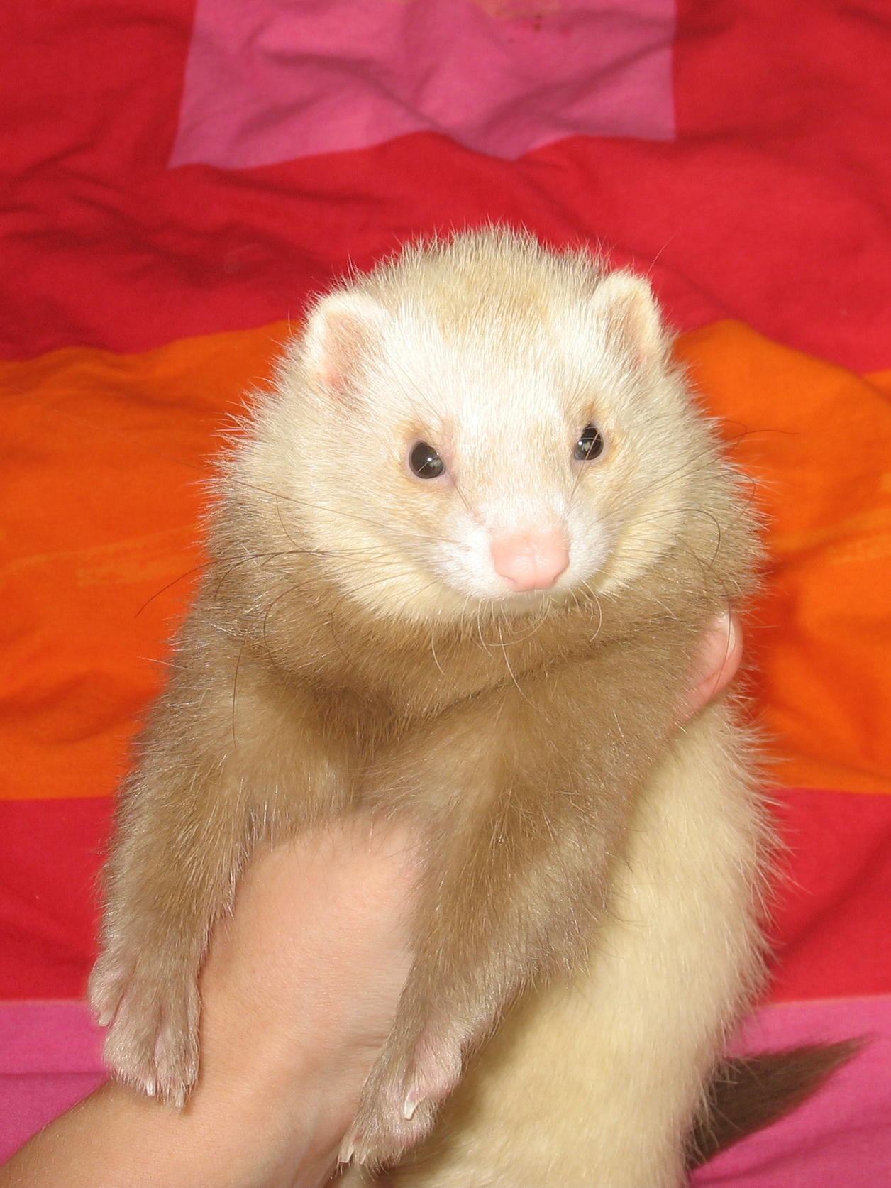 2008-10-12_27_2.jpg