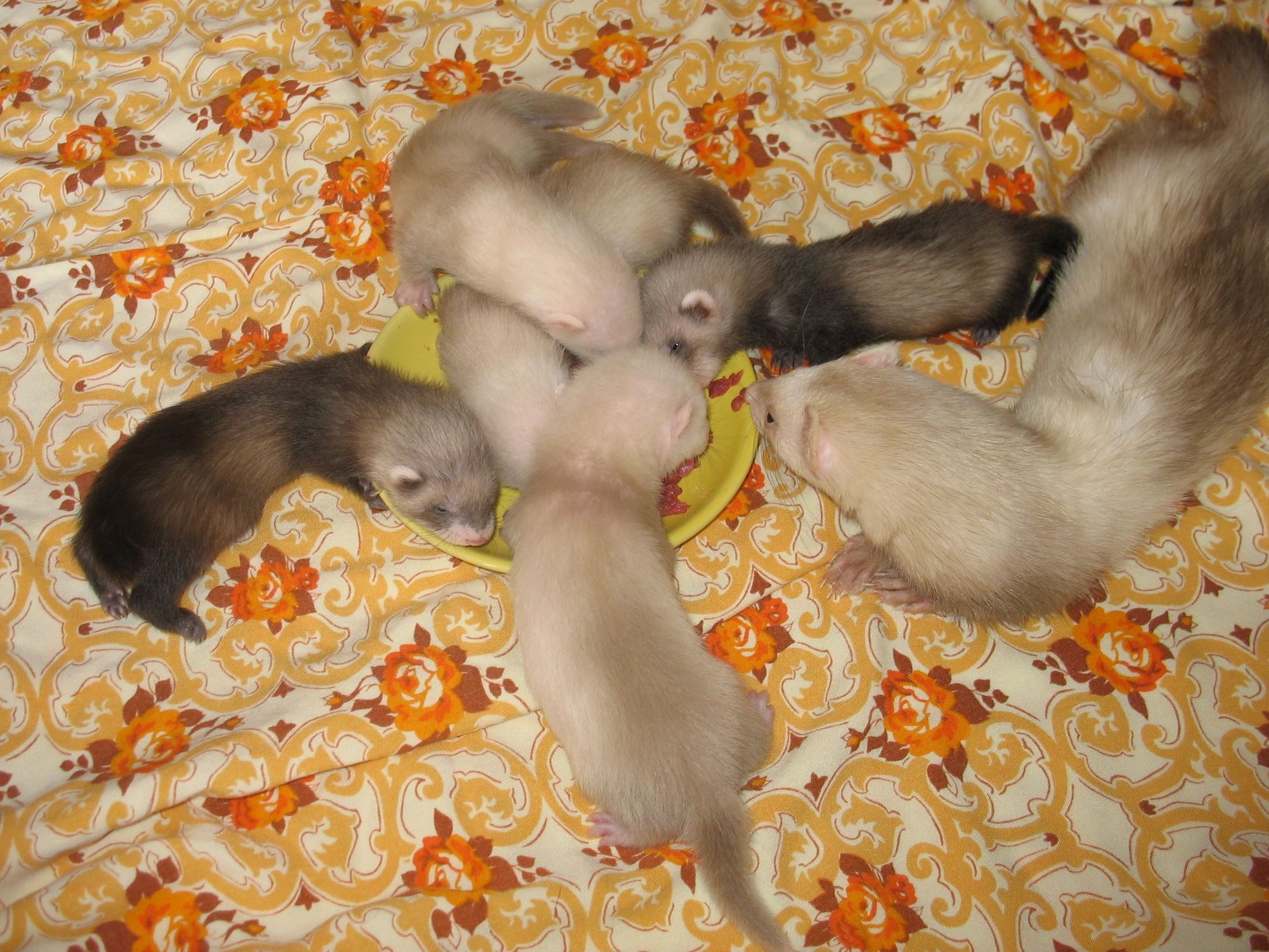 2009-05-11_003.jpg